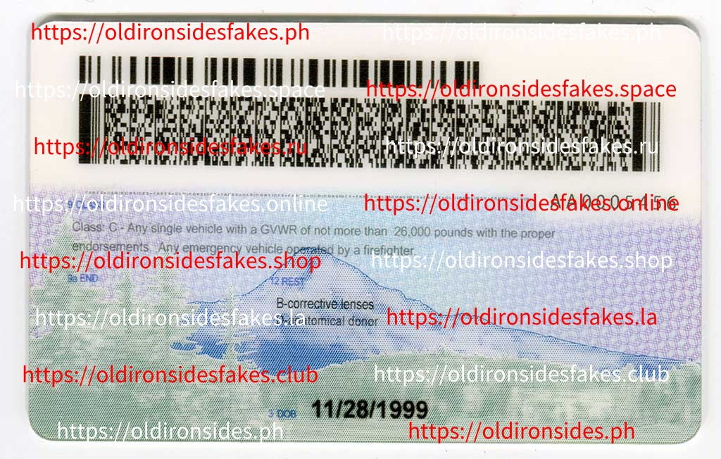 Oregon Driver License(New OR)