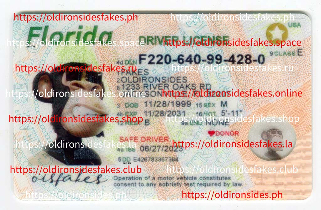 Florida Driver License(New FL O21 V2)
