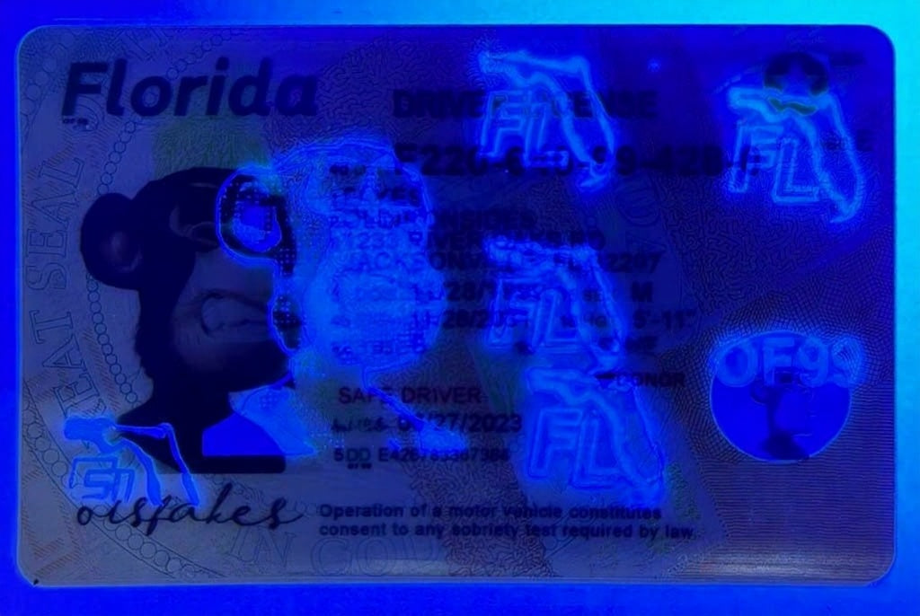 Florida (New FL O21 V2)