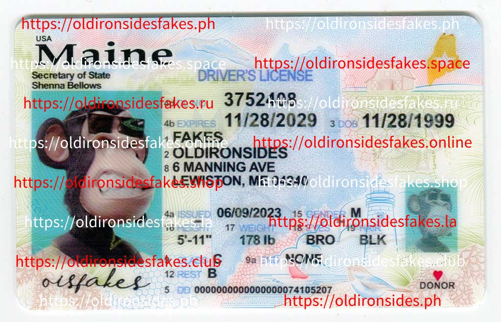 Maine Driver License(New ME)