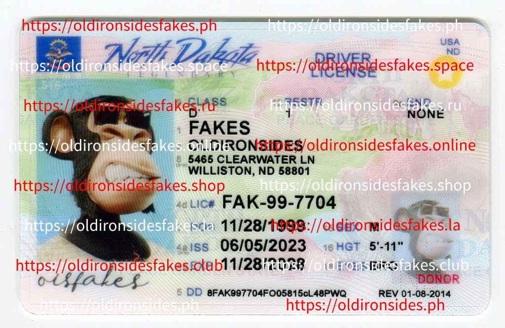 North Dakota Driver License(ND O21)