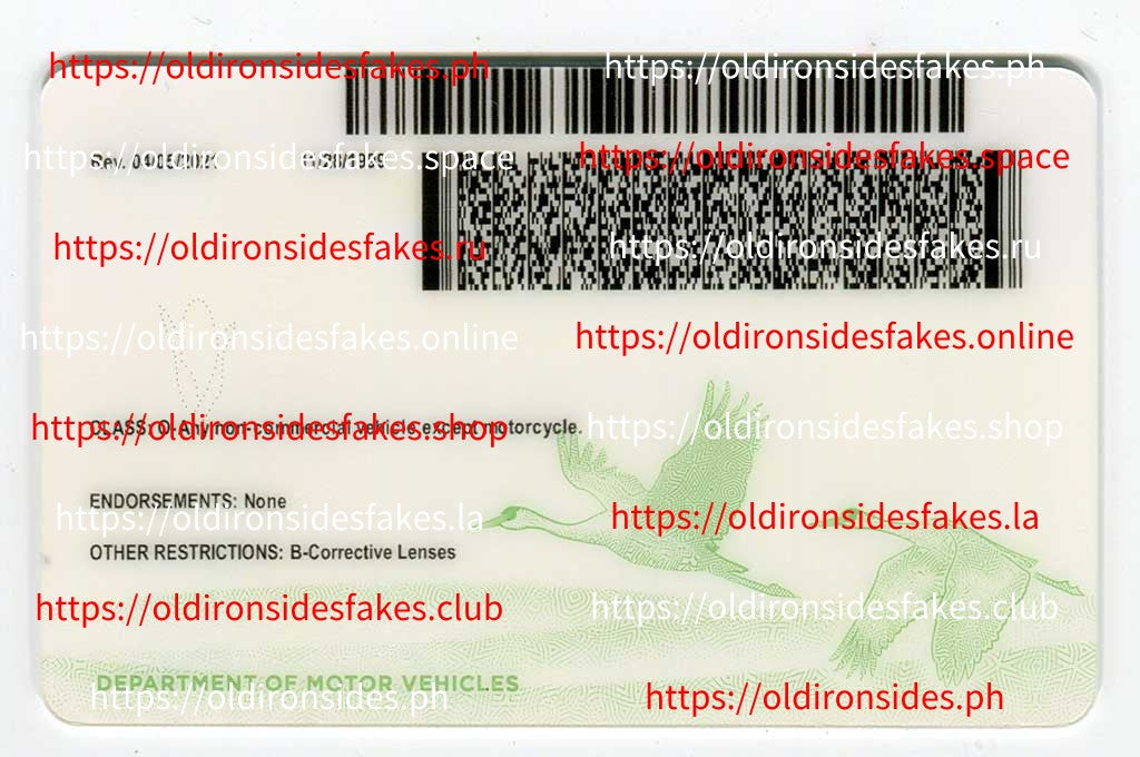 Nebraska Driver License(New NE)