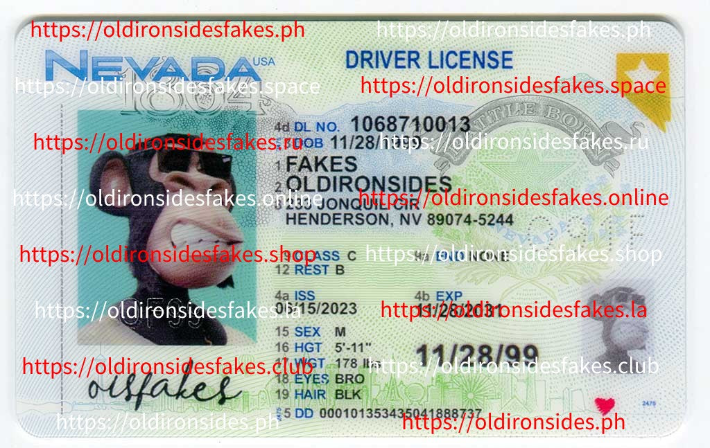 Nevada Driver License(New NV)