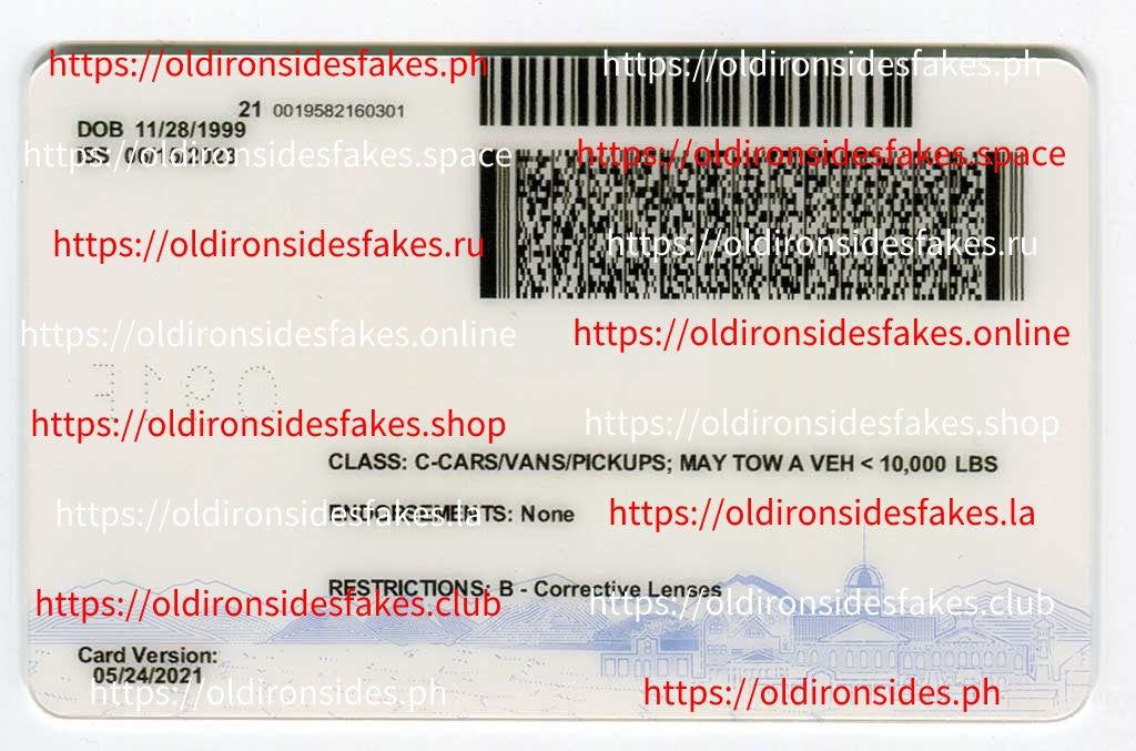 Nevada Driver License(New NV)