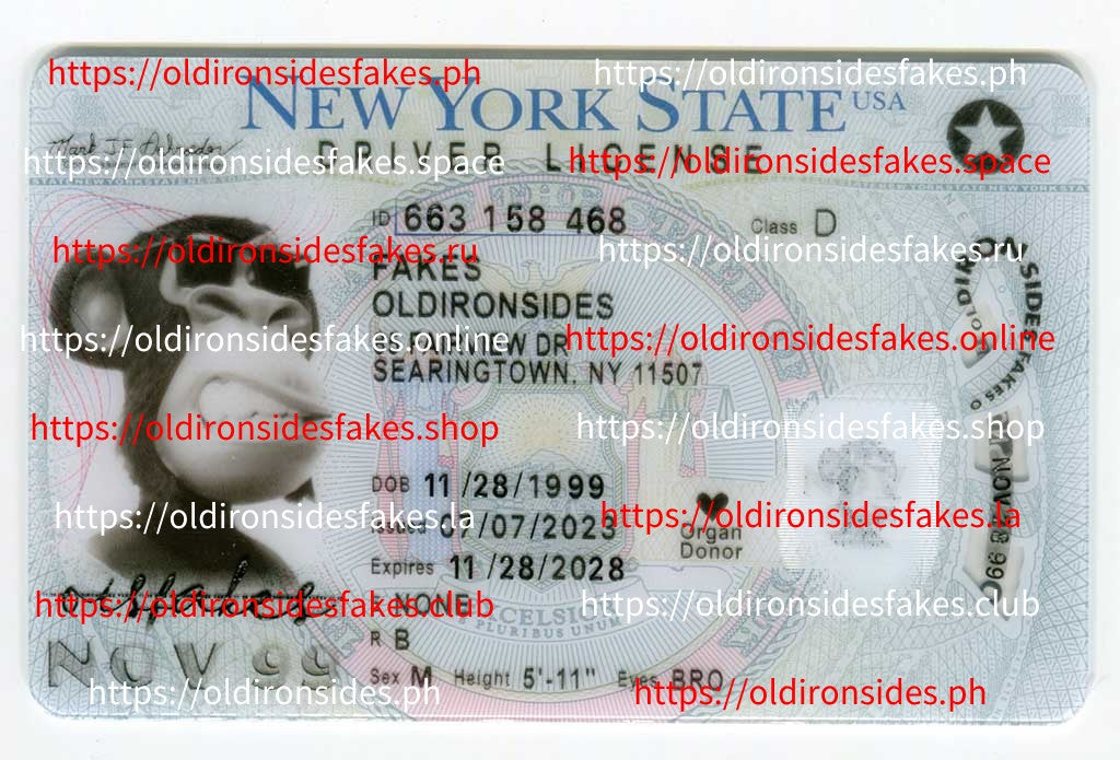New York Driver License(New NY 2022 PolyCard)
