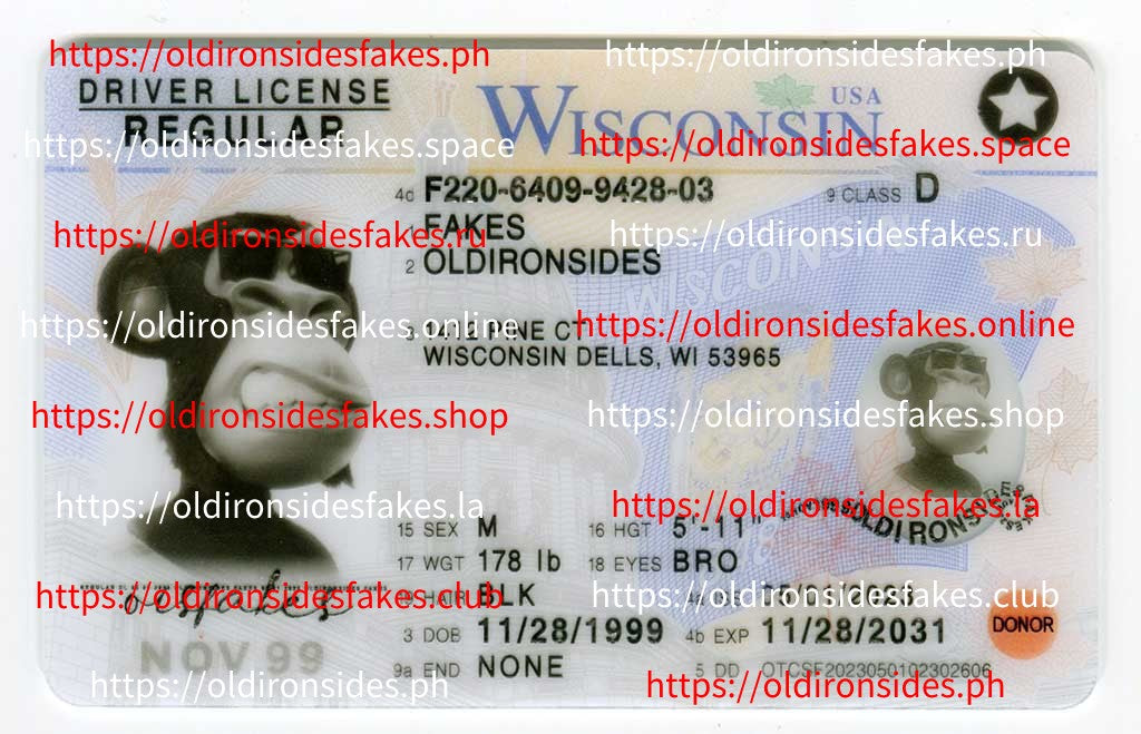 Wisconsin Driver License(WI 2022 PolyCard)