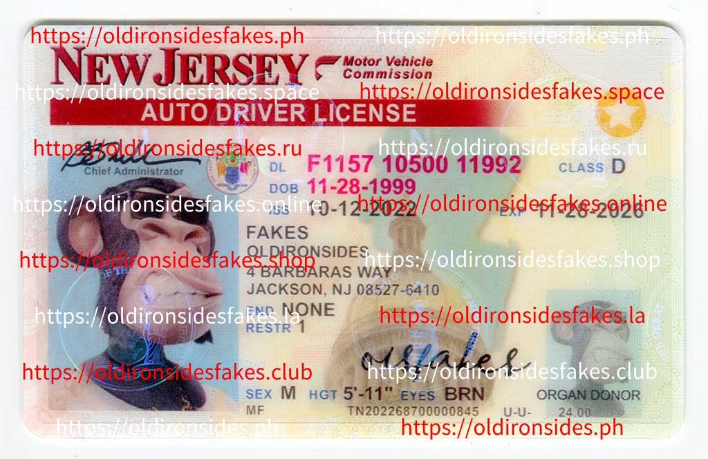 New Jersey Driver License(NJ)