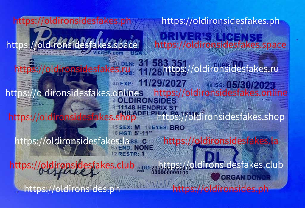 Pennsylvania Driver License(New PA O21)