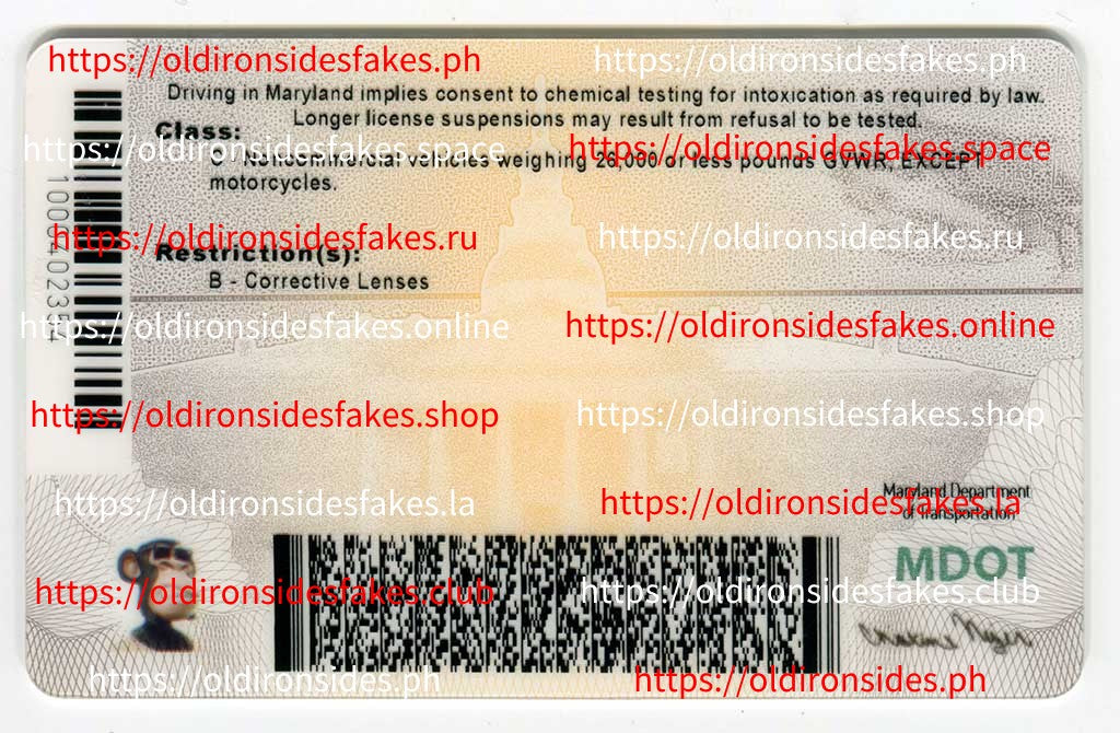 Maryland Driver License(New MD)