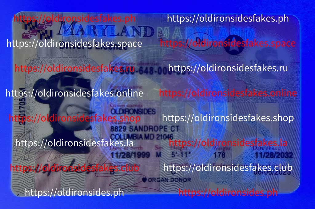 Maryland Driver License(New MD)