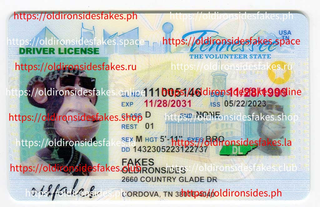 Tennessee Driver License(TN O21)