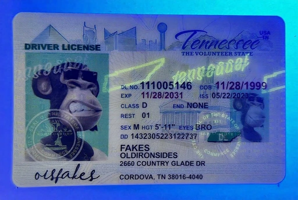 Tennessee (TN O21)