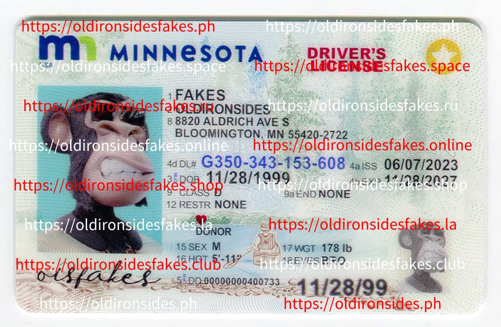 Minnesota Driver License(New MN)
