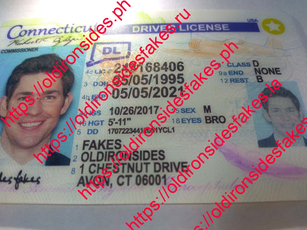 Connecticut Driver License(New CT)