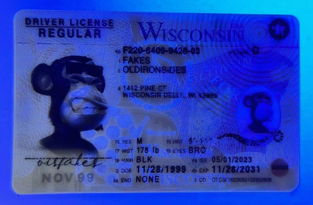 Wisconsin (WI 2022 PolyCard)