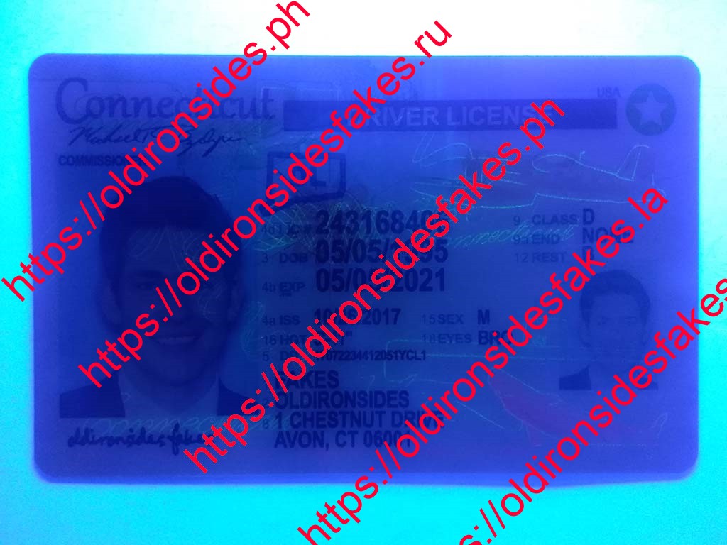 Connecticut Driver License(New CT)