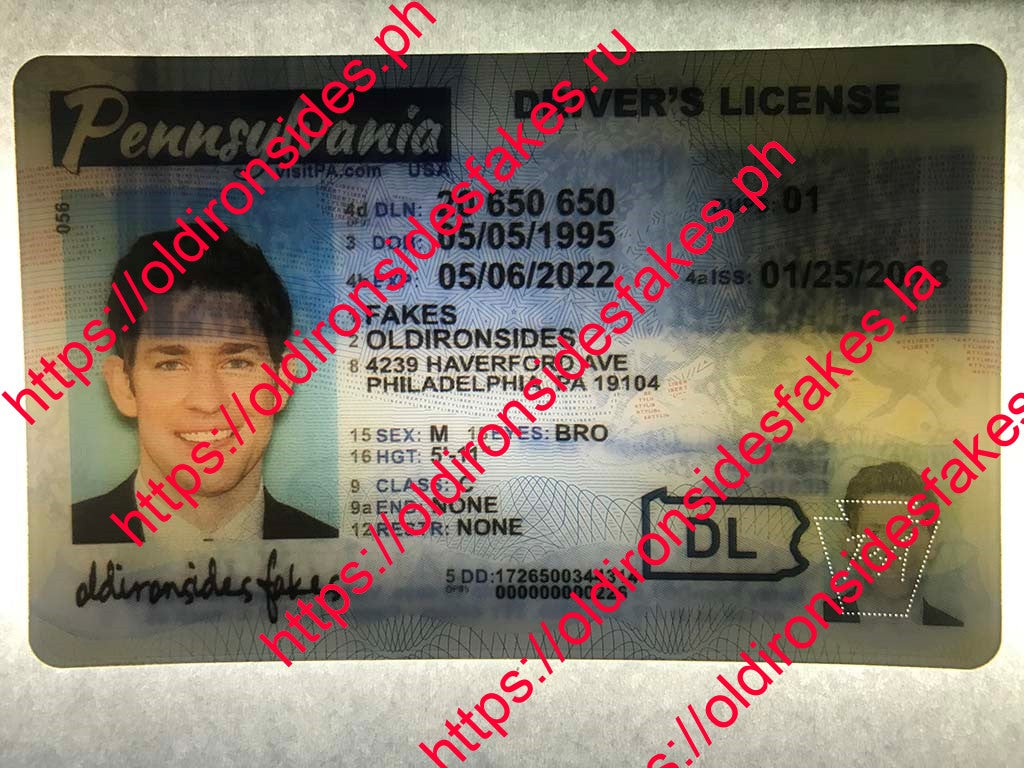 Pennsylvania Driver License(New PA O21)